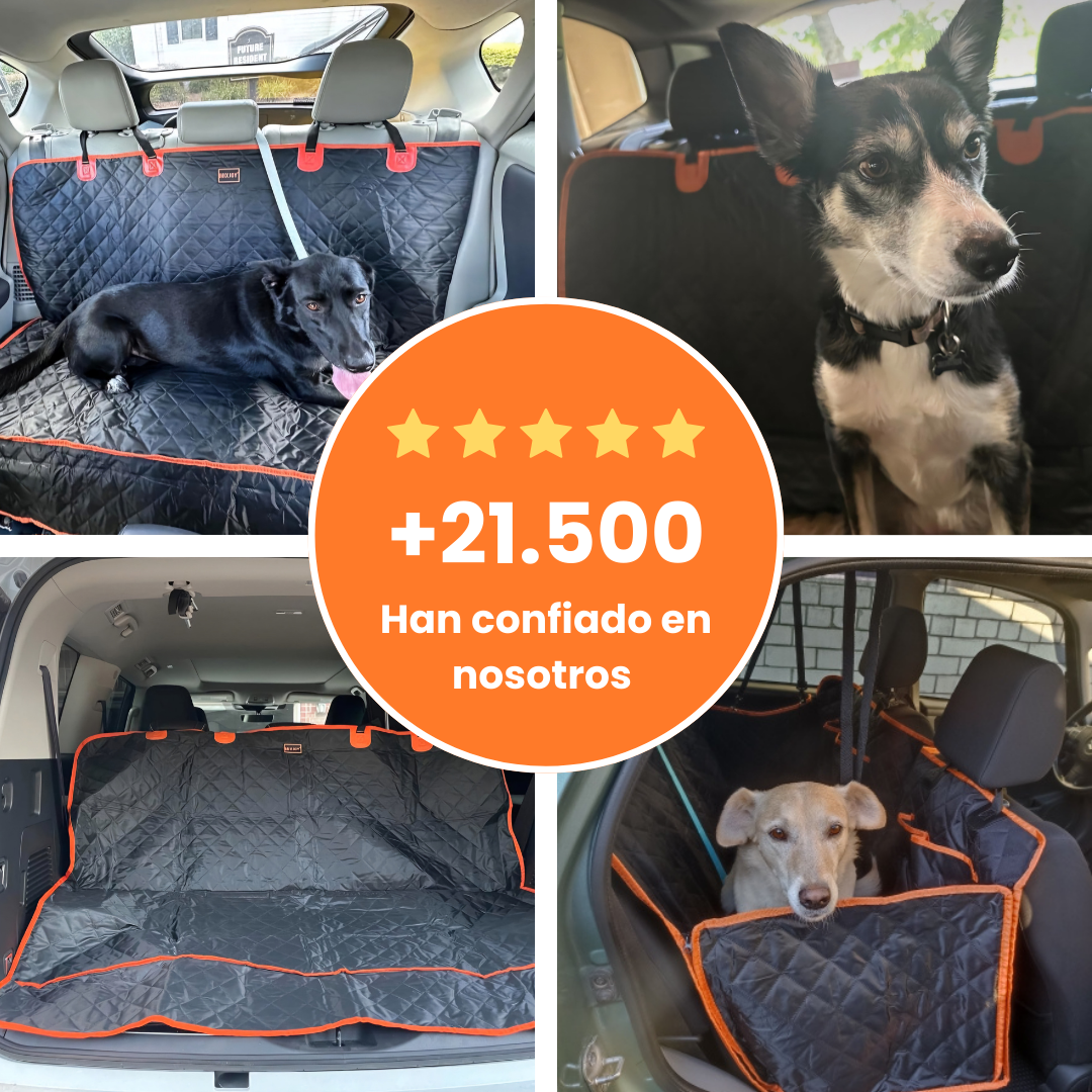 DogArmor™-auto limpio, perro cómodo